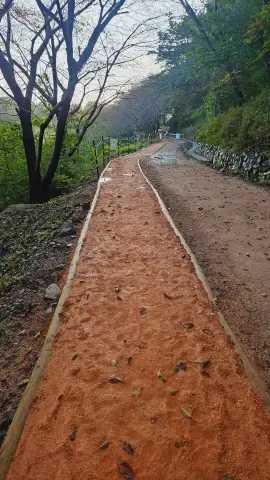 엄광산 맨발숲길 풍경