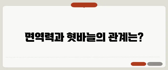 혓바늘이 돋는 이유 면역력 저하가 만든 결과