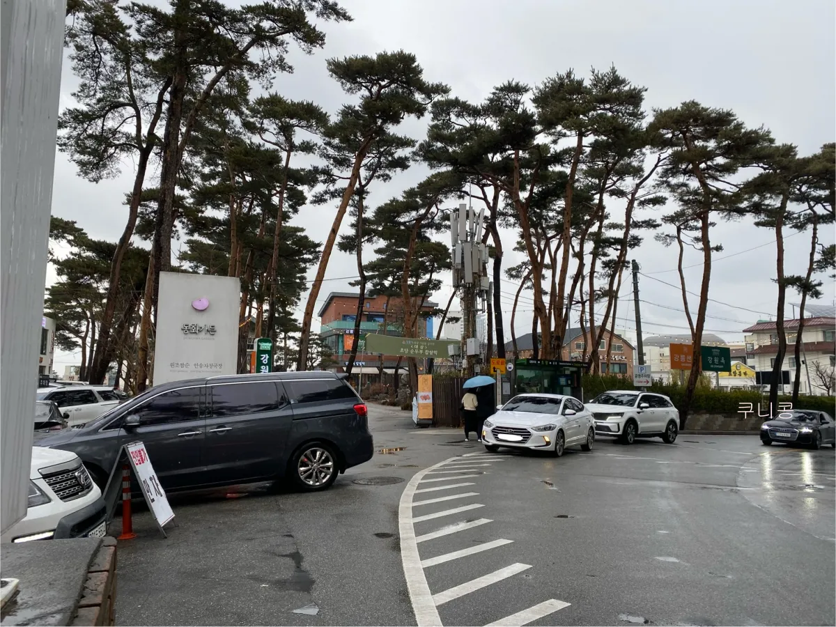 강릉-짬뽕순두부-맛집-동화가든-주말-웨이팅-시간-및-대기장소-정보