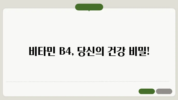 비타민 B4 하루 권장량