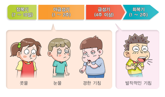 백일해증상