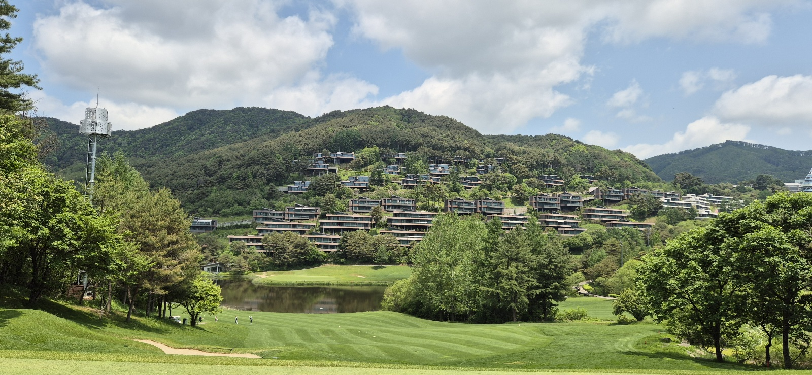 웰리힐리 페에웨이