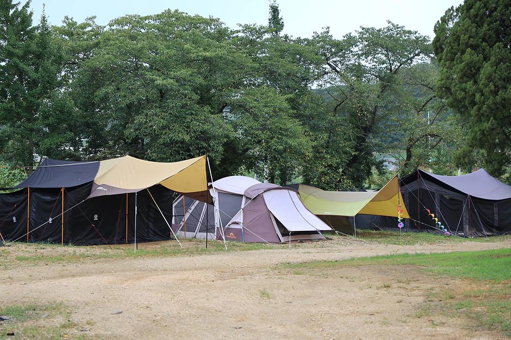 경기도 평택시 갈릴리 야영장 소개