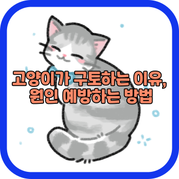 고양이가 구토하는 이유, 원인 예방하는 방법