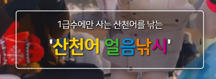 2025 화천 산천어 축제 예약 및 일정, 숙박-무료낚시이벤트 안내