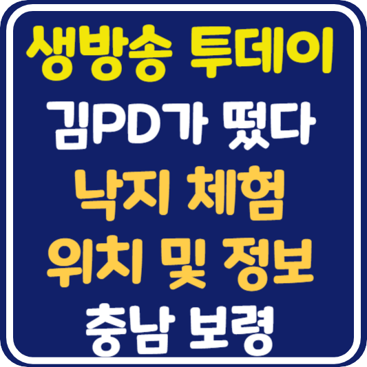 생방송 투데이 보령 낙지 체험 정보 안내 : 김PD가 떴다