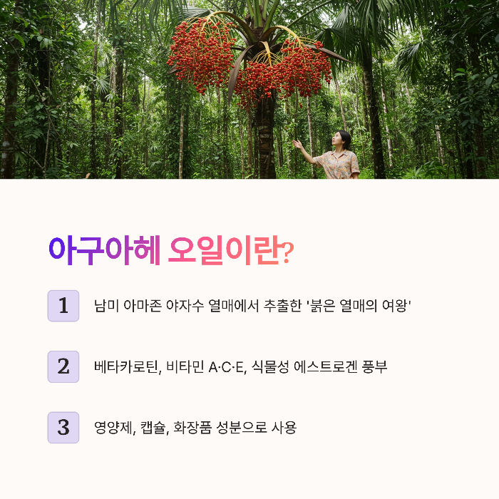 아구아헤 오일이란