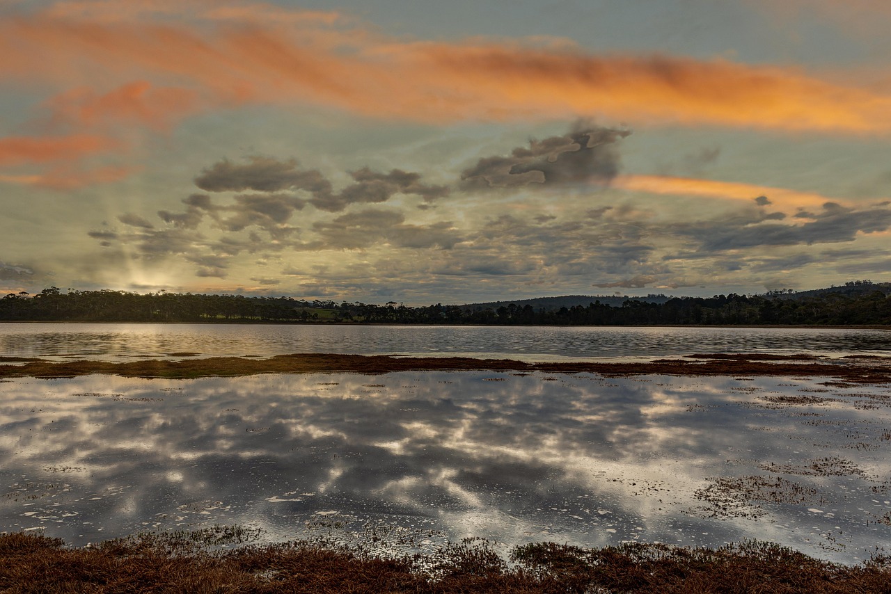 호주 태즈메이니아