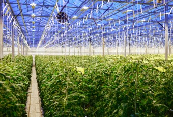 공익직불금 신청하기