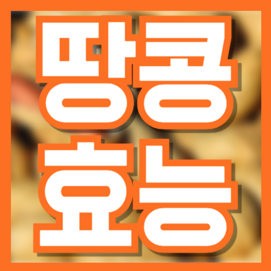 땅콩의 효능 – 건강에 좋은 이유와 올바른 섭취 방법