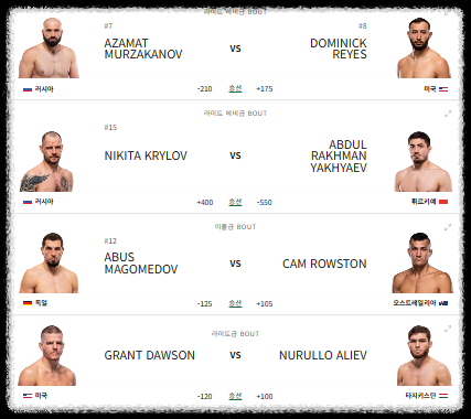 UFC 333