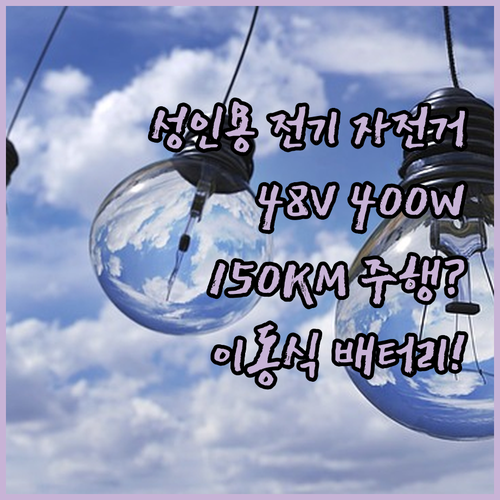 성인용 전기 자전거 48V 400W 