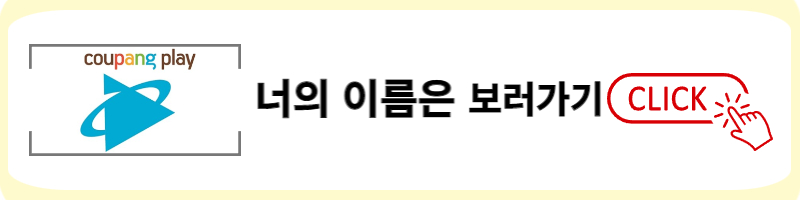 쿠팡 플레이 너의 이름은