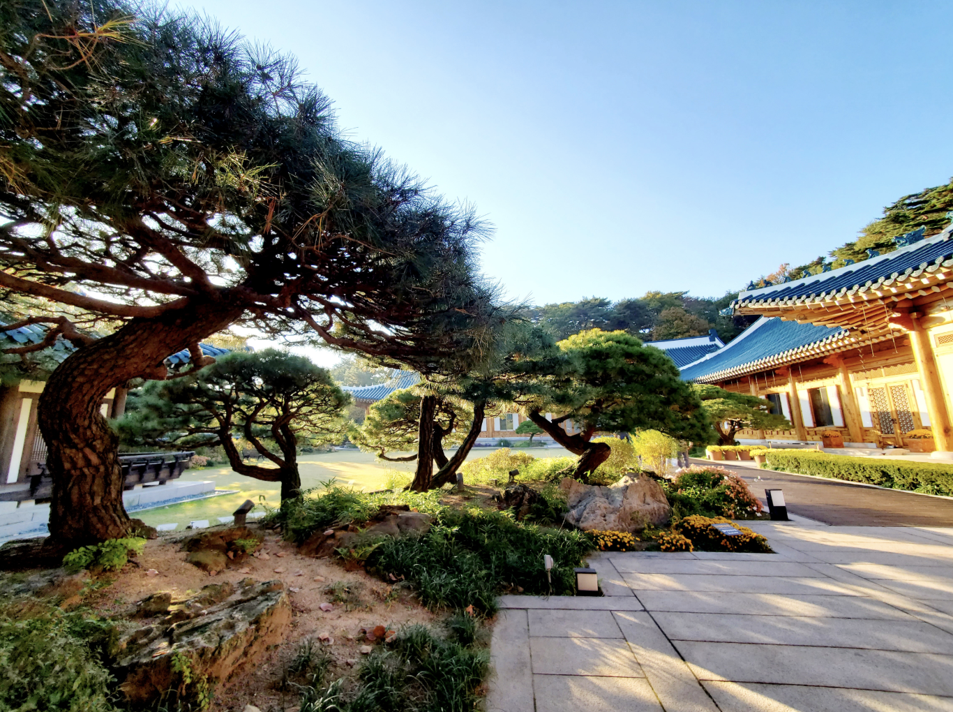 2025 청와대 밤마실&amp;#44; 6일간의 특별한 개방 봄밤 특별한 산책 예약 시작