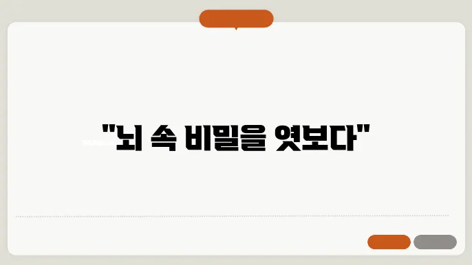 기능적 자기공명영상(fMRI)