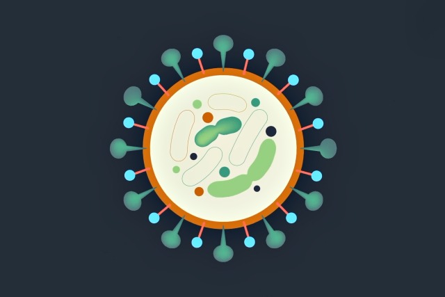 손소독제 코로나 비누,팁줌