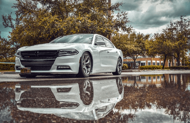 주류 향수 면세