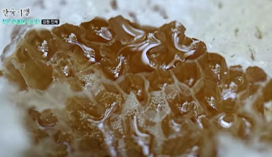 6시내고향-강원-인제-벌꿀-설악산백담벌꿀