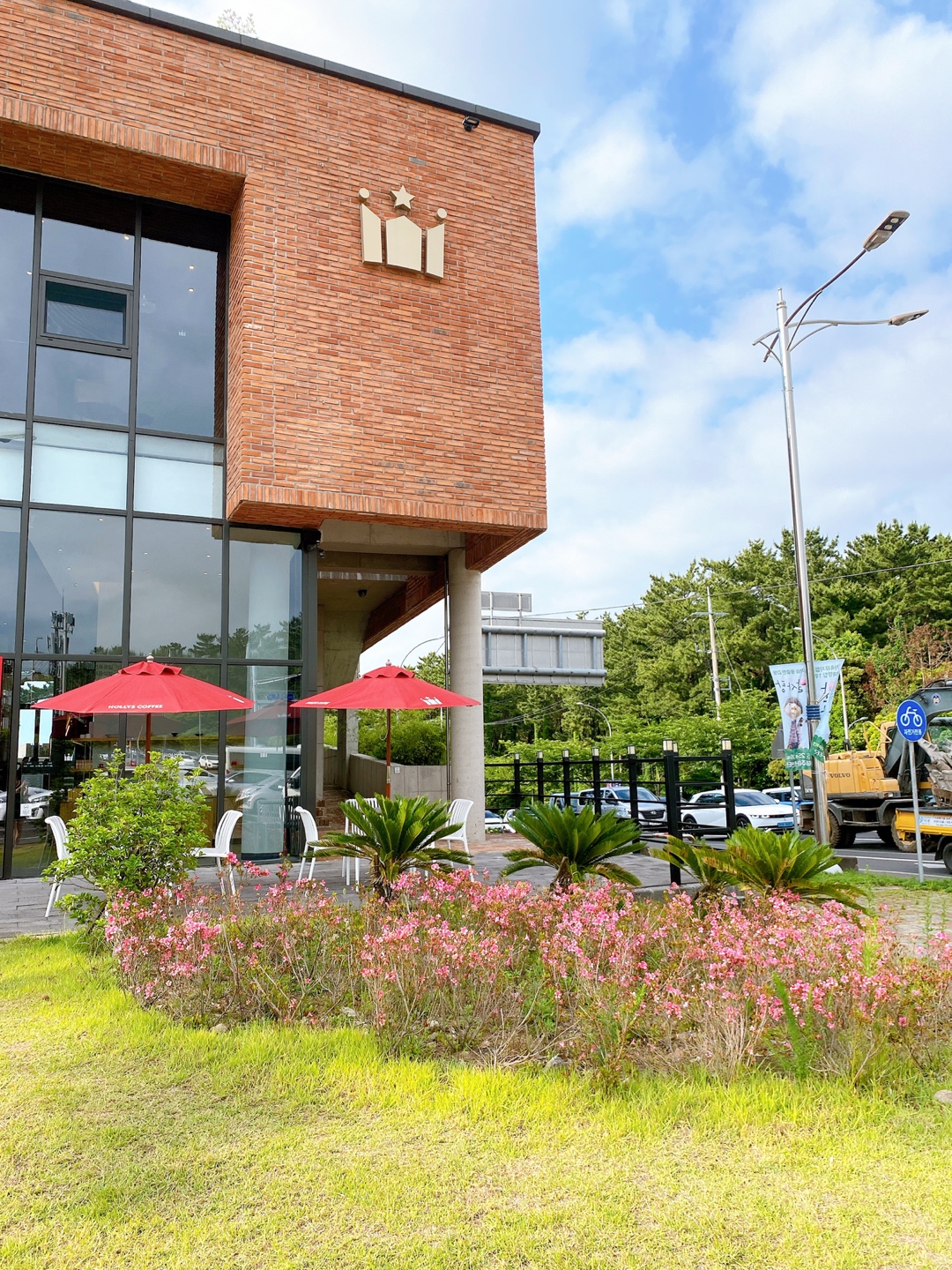 제주 애견 할리스 연북로점