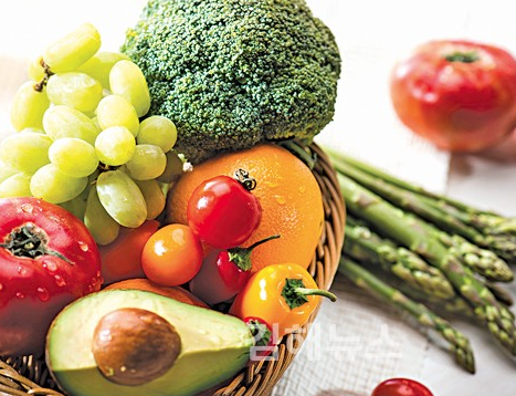 식이섬유란 무엇인가