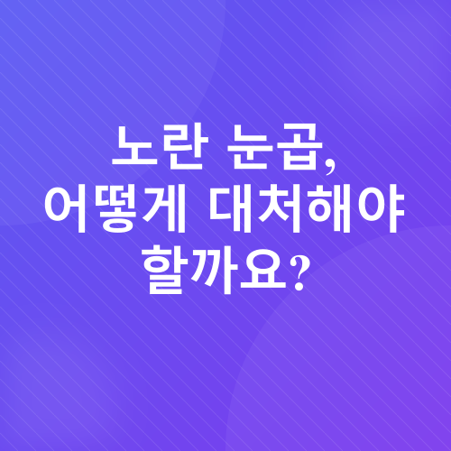 고양이 눈곱_3