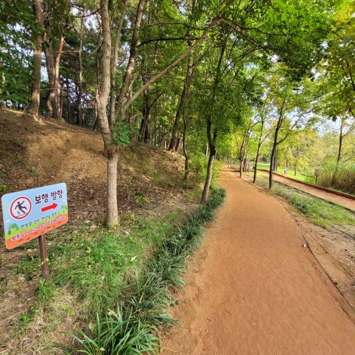 자연 속 힐링! 안동 천년숲 황토길 맨발걷기 체험 후기 관련 사진