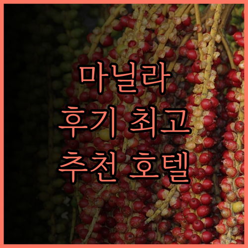 쉐라톤 마닐라 베이 호텔 후기 최고의