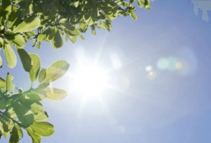 한국인이 부족한 햇빛 산책하기