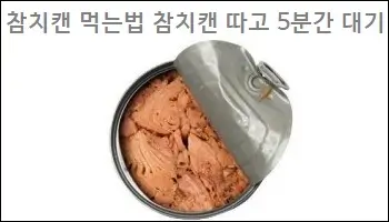 참치캔 먹는법 참치캔 따고 5분간 대기