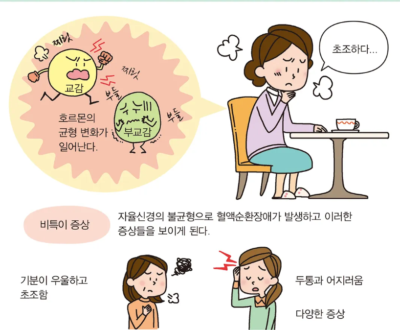 갱년기 증상