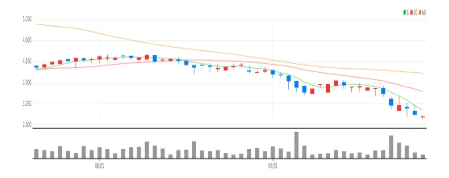 하이즈항공 차트