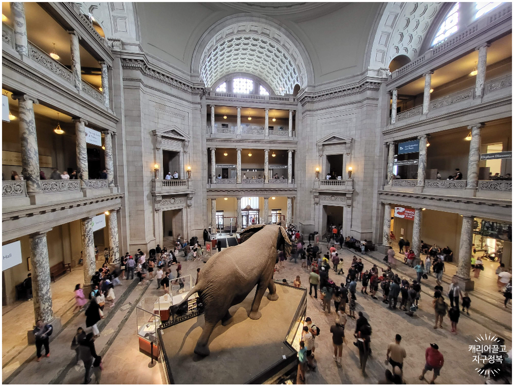 워싱턴 스미스소니언 국립 자연사 박물관