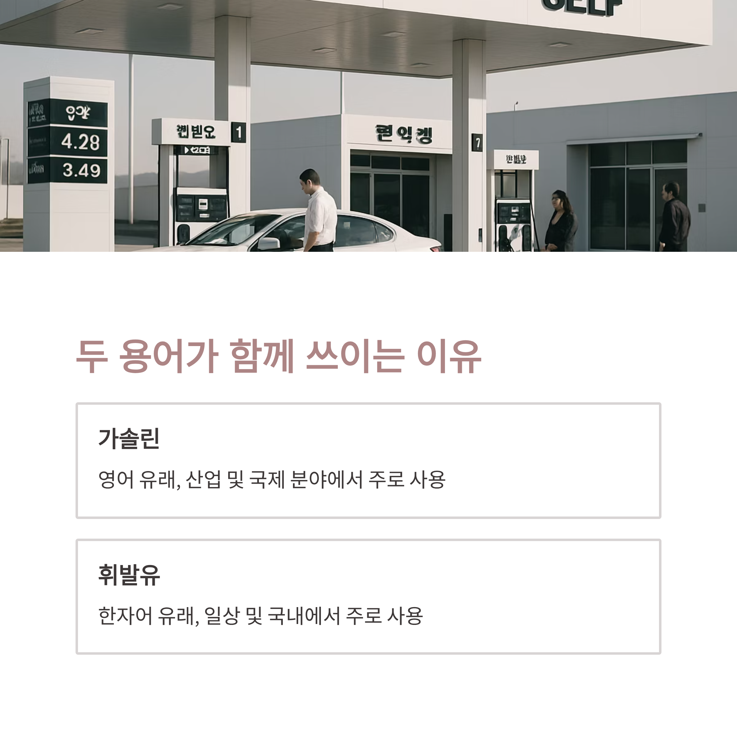 용어 혼용, 어떤 배경일까? 🌍