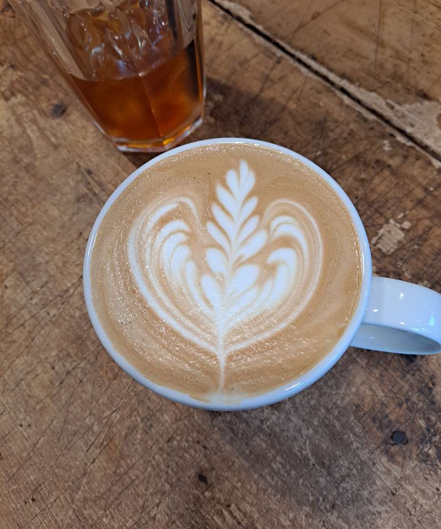 로제타와 아이스 아메리카노