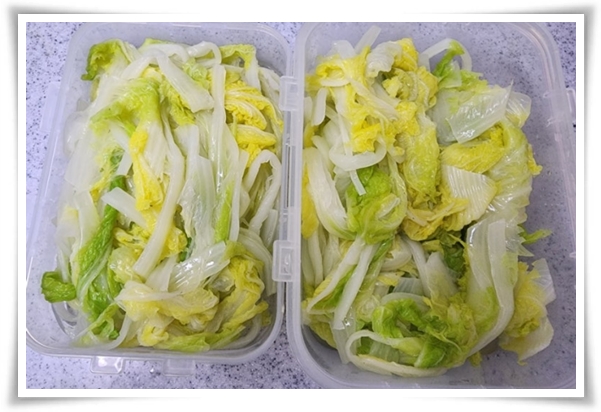 "남은 김장 배추 보관법" 땅속에 묻기/냉장/냉동 보관 등 오래 보관하는 법!