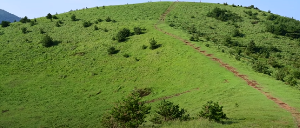봄에 떠나기 좋은 여행지