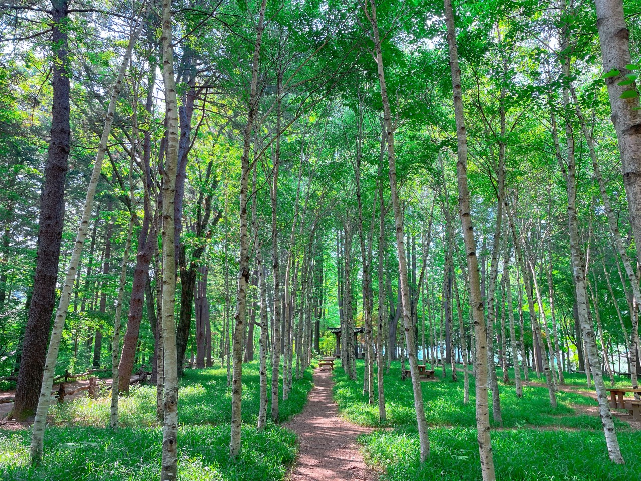 춘천 여행 갈만한 곳