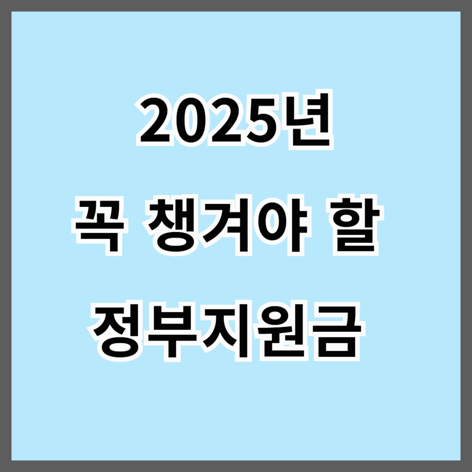 2025년 꼭 챙겨야 할 정부지원금 35가지|신청 방법·대상 조건 정리