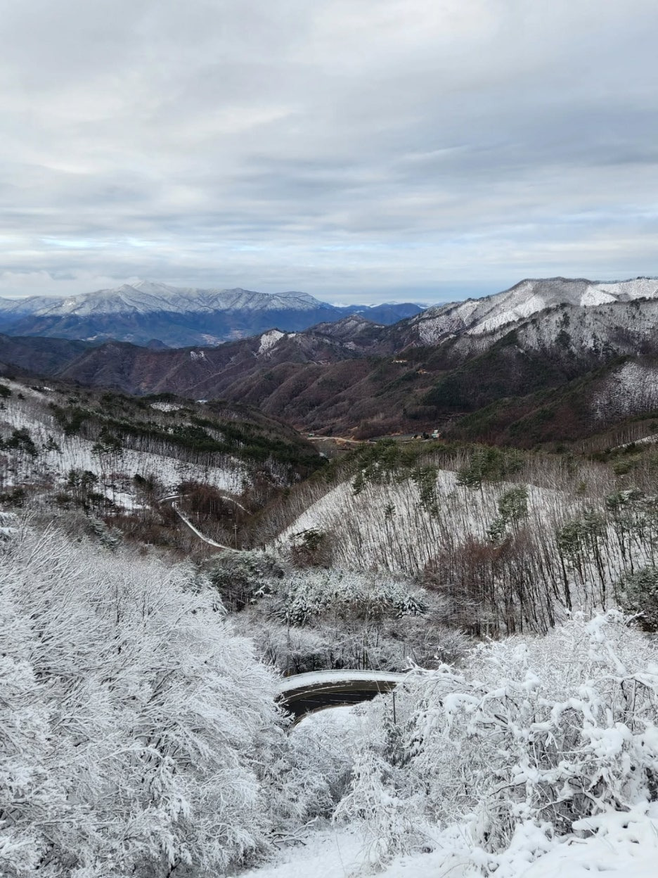 충북 영동 도마령 겨울 드라이브 명소의 재발견