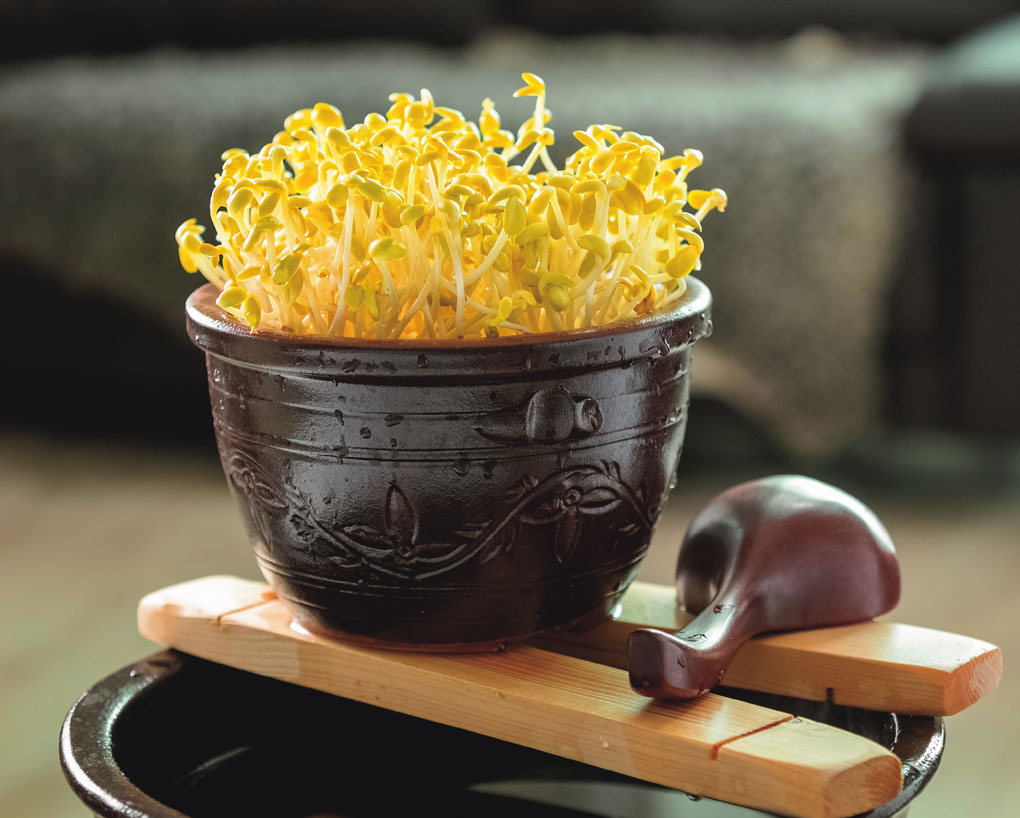 간에 좋은 음식 &amp;#39;콩나물&amp;#39;