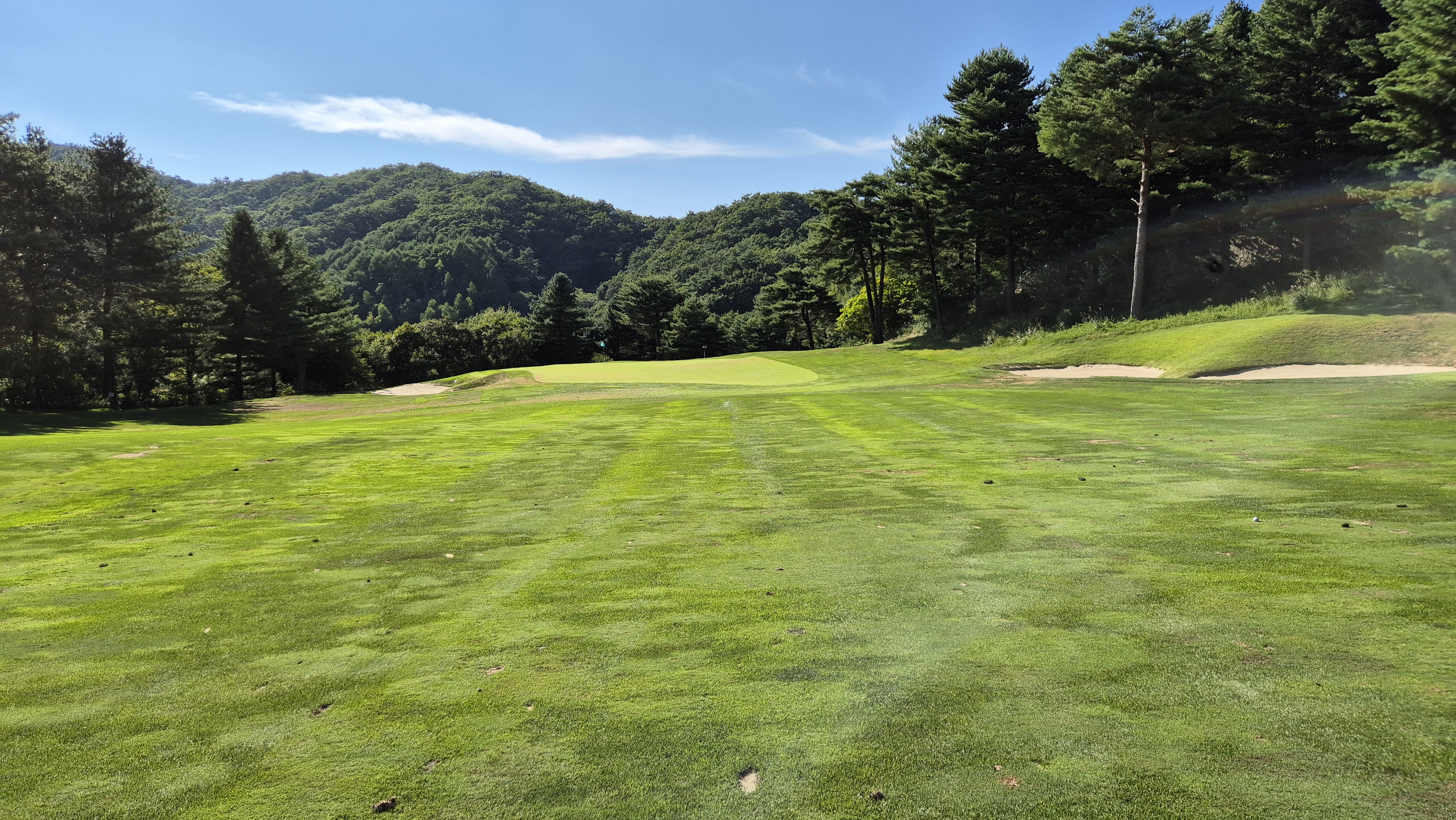 휘닉스cc