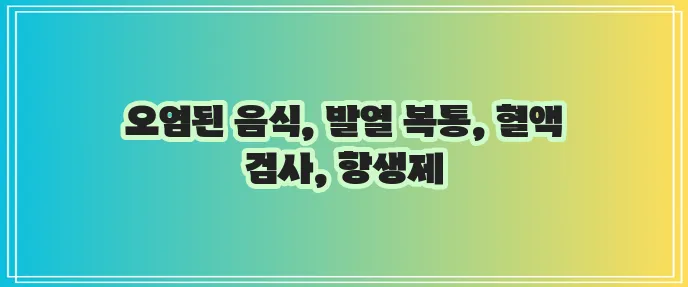 장티푸스 원인 증상 검사 치료 핵심 정리해야 합니다