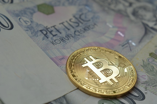 업비트 코인 스테이킹