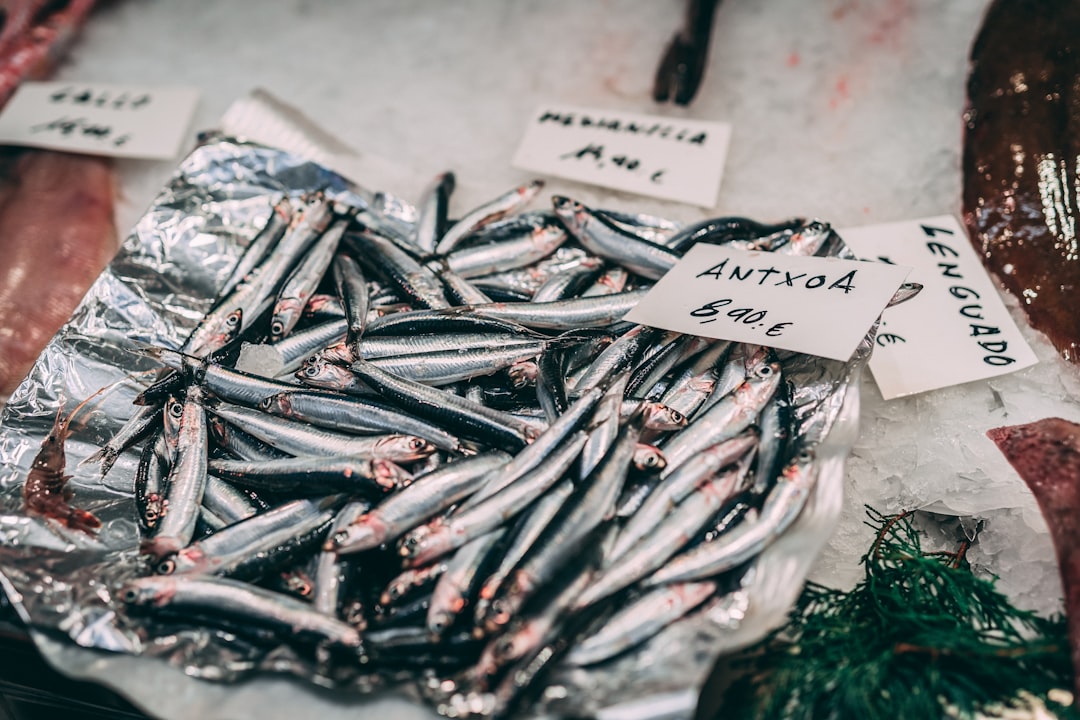 Anchovy