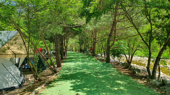 한스캠핑장
