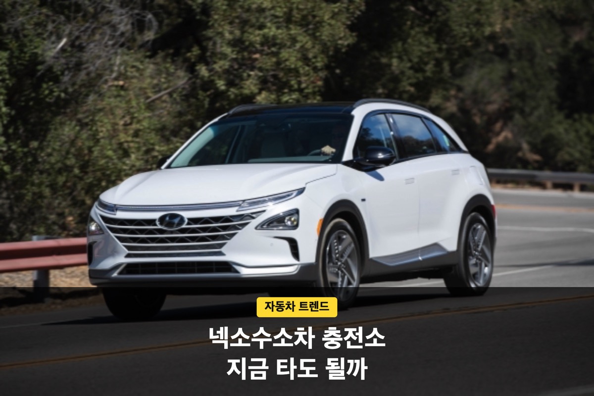 도로변에 서 있는 흰색 현대 수소차 넥쏘