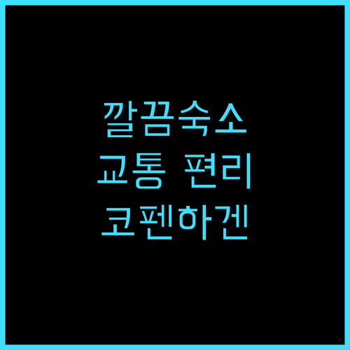 컴포트 호텔 베스테르브로 추천 후기 ..