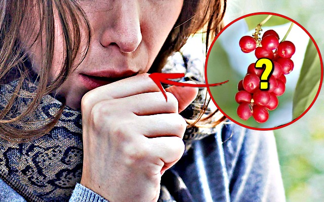 기침 빨리 낫는법,기침 멈추는데 좋은 음식,건강