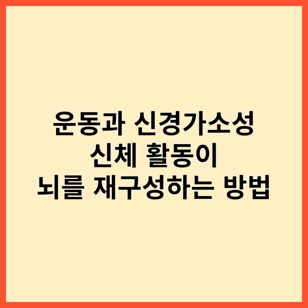 운동과 신경가소성: 신체 활동이 뇌를 재구성하는 방법