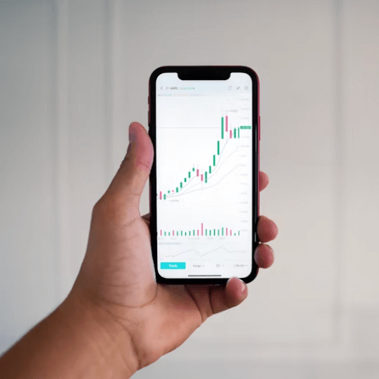 비트코인 거품 붕괴